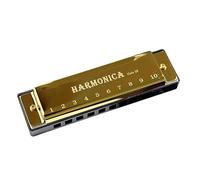 Professionale Armonica Armonica In Metallo Professionale A 10 Fori Con Chiave C Per Strumenti Musicali Arpa Armonica Per Principianti (Color : 02)