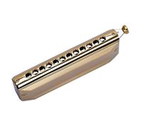Professionale Armonica Bocchino Rotondo 12 Fori 48 Toni Armonica Chiave C Armonica Cromatica Dorata
