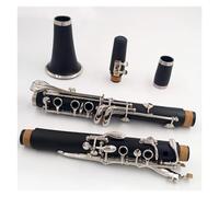 Professionale Clarinetto 17 Tasti Corpo In Tubo In Resina ABS Tasti A Clarinetto Tasti Nichelati Clarinetto Con Accessori