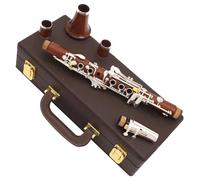 Professionale Clarinetto Tono Mib Clarinetto Professionale 18 Tasti Corpo In Palissandro Chiavi Placcate Argento Clarinetto Con Custodia Rigida