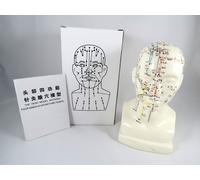 Professionale Educativo Agopuntura 8 " Testa 20cm Anatomia Medico Modello IT-094