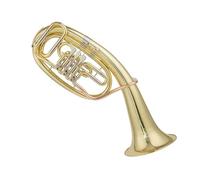 professionale Eufoni Corno Contralto A Tre Tasti Tuba Bassa Corno Si Bemolle Performance Orchestrale Professionale