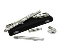 Professionale Flauto Traverso Flauto Contralto 16 Fori Chiusi Foro Offset G Corpo In Rame E Gambe C Con Custodia Per Il Trasporto