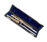 Professionale Flauto Traverso Flauto Da Concerto A 17 Tasti Con Fori Aperti, Tono C, Corpo In Argento, Chiave Dorata, Con Accessori