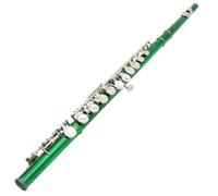 Professionale Flauto Traverso Flauto Da Concerto In Cupronichel C Tone 16 Fori Chiusi Con Accessori Per Studenti (Color : Green)