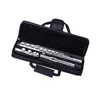 Professionale Flauto Traverso Flauto D'argento 16 Fori C Key Kit Flauto Placcato In Cupronichel Nichelato Con Borsa In Pelle Portatile