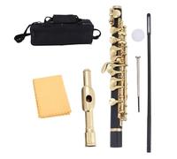 Professionale Flauto Traverso Flauto Di Mezza Misura C Key Piccolo Con Borsa Imbottita Panno Per Lucidatura Accessori Per Viti