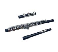 Professionale Flauto Traverso Flauto Nero A 16 Fori Chiave Chiusa Aggiungi Il Flauto Placcato In Cupronichel Nichelato Tono E Chiave C Con Custodia