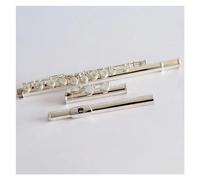 Professionale Flauto Traverso Flauto Per Studenti Placcato Argento Cupronichel Flauto A 16 Fori Con Foro Aperto Tono C Con Custodia E Accessori