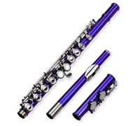 Professionale Flauto Traverso Flauto Tono C A Foro Chiuso 16 Tasti Strumento A Fiato In Ottone Nichelato Con Custodia Per Il Trasporto