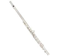 Professionale Flauto Traverso Flauto Trasversale Da Concerto Placcato Argento In Cupronichel Con 16 Fori Aperti Chiusi, Con Chiave E E Scatola