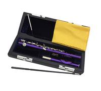 Professionale Flauto Traverso Piccolo viola a 16 fori con chiave E, flauto in cupronichel di mezza misura con scatola in pelle e accessori