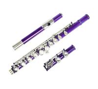 Professionale Flauto Traverso Strumento a fiato per flauto da concerto con chiave C a 16 fori placcato in cupronichel nichelato con custodia