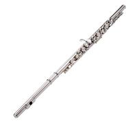 Professionale Flauto Traverso Strumento A Fiato Per Flauto Da Concerto In Cupronichel Nichelato A 16 Fori Con Borsa Imbottita