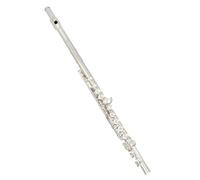 Professionale Flauto Traverso Strumento Da Concerto Per Flauto Traverso Con Chiave C A 16 Fori Aperti Chiusi Con Accessori Per Studenti (Color : Silver)