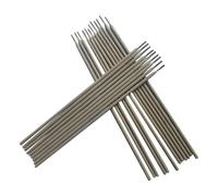 Professionale Grado 304 Acciaio Elettrodo A102 Saldatura Cavo 20pc Pack