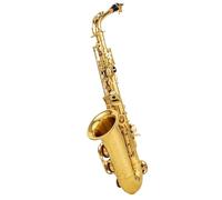 Professionale Sassofono Sassofono Contralto Mib Tune Ottone Lacca Dorata Strumento Musicale Sax Mi Bemolle Con Custodia Accessori (Color : A)