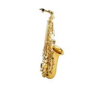 Professionale Sassofono Sassofono Contralto Mib Tune Ottone Lacca Dorata Strumento Musicale Sax Mi Bemolle Con Custodia Accessori (Color : 02)