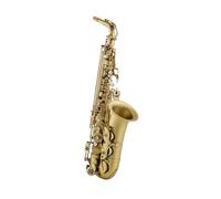 Professionale Sassofono Sassofono Contralto Produzione Di Strumenti A Fiato In Ottone Set Completo Di Accessori