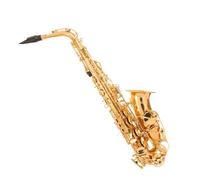 Professionale Sassofono Sassofono Mi Bemolle Sassofono Contralto Strumento Configurazione Doppio Bocchino Principiante Professionista Che Suona L'oro