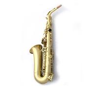 Professionale Sassofono Sassofono Mi Bemolle Sassofono Contralto Strumento Per Principianti Adulti Prestazioni Per L'esame Entry Level (Color : 03)