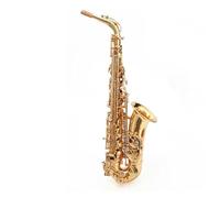 Professionale Sassofono Sassofono Mi Bemolle Sassofono Contralto Strumento Per Principianti Adulti Prestazioni Per L'esame Entry Level (Color : 02)