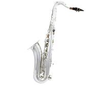 Professionale Sassofono Sassofono Tenore Professionale In Sib Sax Corpo In Ottone Elettroforesi Strumento In Oro Con Sax Set Completo Di Accessori (Color : Silver)