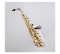 Professionali Sassofono Sassofono Contralto Corpo In Lega D'argento Bocchino Per Sax Con Chiave In Oro Nichelato Con Custodia E Accessori