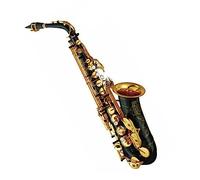 Professionali Sassofono Sassofono Contralto Eb Tune Chiave In Ottone Corpo Nero Strumento Musicale Professionale Con Accessori