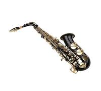 Professionali Sassofono Sassofono Contralto In Ottone Nero Con Superficie Lucida In Mi Bemolle Sax Con Custodia Per Il Trasporto Del Bocchino