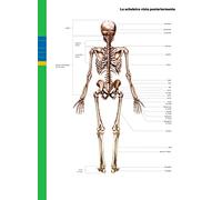 Professione sport. Edizione verde. Corso di scienze motorie e sportive. Per le Scuole superiori. Con e-book. Con espansione online, La copertura può variare