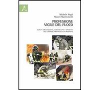 Professione vigile del fuoco. Aspetti organizzativi, comunicativi e operativi del comando provinciale di Frosinone