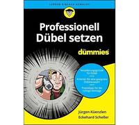 Professionell Dübel setzen für Dummies