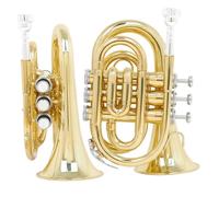 Professionisti Tromba Mini Tromba In Sib Strumento A Fiato In Ottone Con Guanti E Custodia Per Il Trasporto Set Di Accessori(Gold)