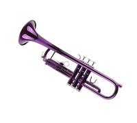 Professionisti Tromba Set Di Trombe In Si Con Accessori Di Ricambio Per Strumenti In Ottone Con Borsa Portaoggetti(Purple)