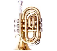 Professionisti tromba Strumento A Tromba B Bemolle Tromba A Tre Note Mini Tromba Di Palma Esame Per Principianti Banda Professionale(Color:Gold)