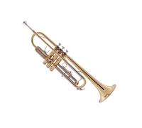 Professionisti tromba Strumento A Tromba Per Principianti In Si Bemolle Tromba Per Prestazioni Professionali Strumento In Ottone Tubo Standard In Rame Bianco