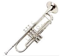 Professionisti tromba Strumento B Bemolle A Tre Note Tromba Lacca Oro Esame Delle Prestazioni Per Principianti Placcatura In Nichel Banda Professionale(Color:Silver)