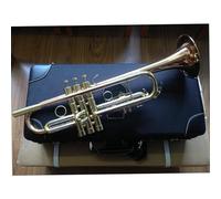 Professionisti tromba Suonare La Tromba Professionale Strumento Avanzato Per Suonare La Tromba