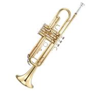 Professionisti tromba Tromba In Si Bemolle Tromba Popolare Da Pratica Tromba Distribuzione Laccata Oro
