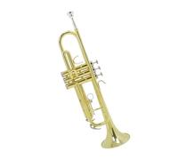 Professionisti tromba Tromba Per Strumenti In Ottone Si Bemolle Tromba In Ottone Per Principianti, Pratica Professionale Che Suona La Tromba A Tre Note(Color:Gold)