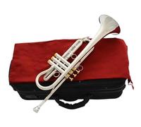 Professionisti Tromba Tromba Professionale In Argento Altoparlante Personalizzato Dimensioni 135 Mm