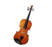 Professionisti Violino Bellissimo Violino In Legno Massello Con Motivi, Violino In Acero Fatto A Mano (Color : 1/2)