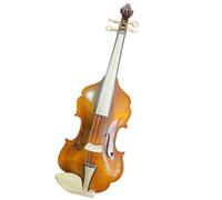 Professionisti Violino Design Unico Senza Costola Violino 4/4 Grande Suono Brillante