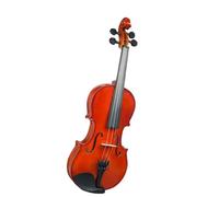 Professionisti Violino Strumento A Corde Di Violino Di Colore Naturale Per Violino 4/4 Violino Acustico Con Scatola Di Accessori Per Strumenti Musicali