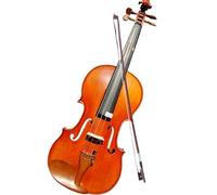Professionisti Violino Studente Di Violino Fatto A Mano Che Pratica Il Violino Con Uno Strumento Musicale