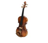 Professionisti Violino Violino 4/4-1/4 Pannello In Abete Violino Acustico Modello In Acero Studente Apprendimento Corde Strumento Violino Con Parti (Color : 4/4)