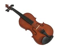 Professionisti Violino Violino con Piastra in Tiglio per Principianti Che Vogliono Esercitarsi nel Violino