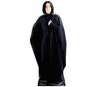 Professor Snape Da Harry Potter Mini Cutout In Cartone / Standup - Rickman