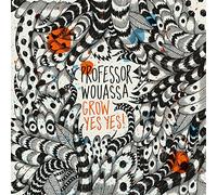 Professor Wouassa - Grow Yes Yes